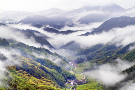 炸弹袭击——对总理住宅的冲击与深思